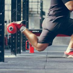 Wildanimals Bolgár Guggoló Adapter