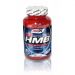 Amix - HMB 500 mg - Growth & Performance - Anti-catabolic formula - 120 kapszula