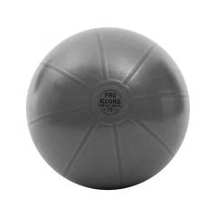 Toorx - Gym Ball Pro - Edzőtermi minőségű fitnesz labda - 75cm
