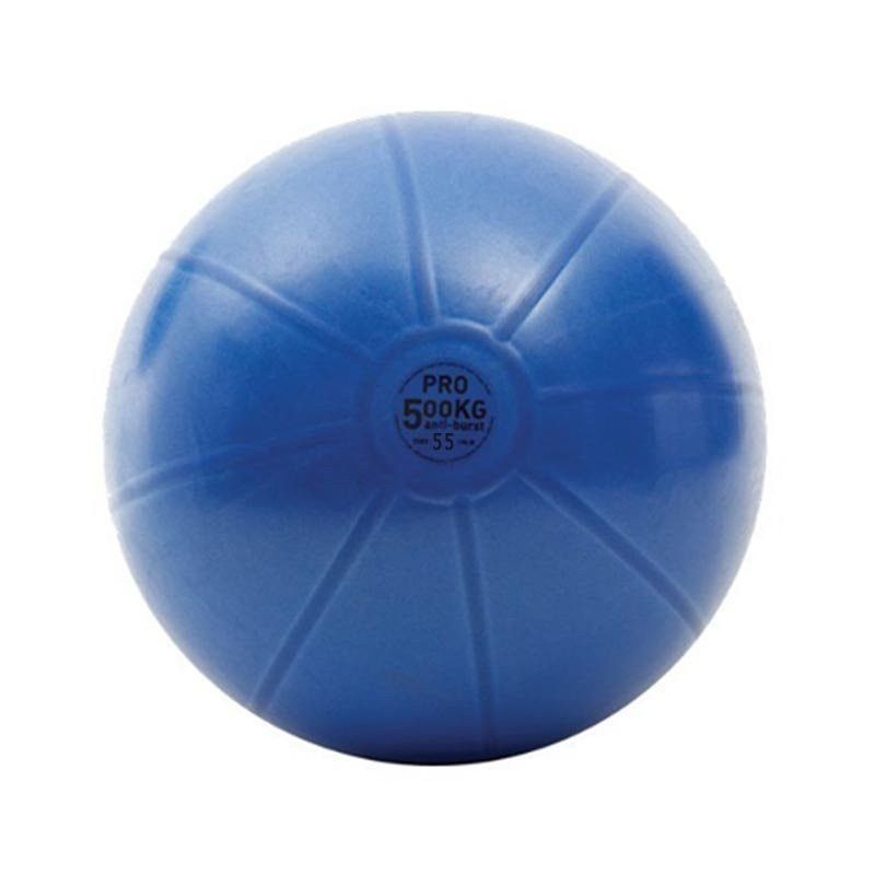 Toorx - Gym Ball Pro - Edzőtermi minőségű fitnesz labda - 55cm