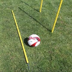 WINART - SZLALOMRÚD FIX - SÁRGA - 160 CM 